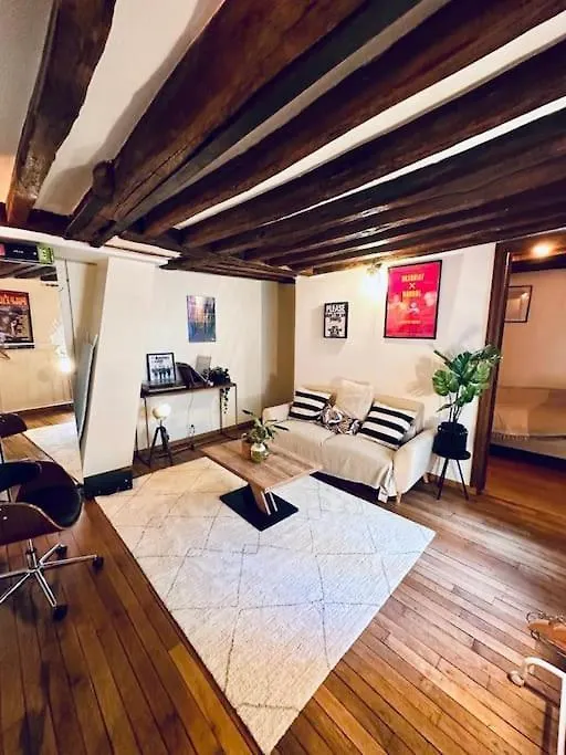 Artist'S Loft In Paris Center Apartment