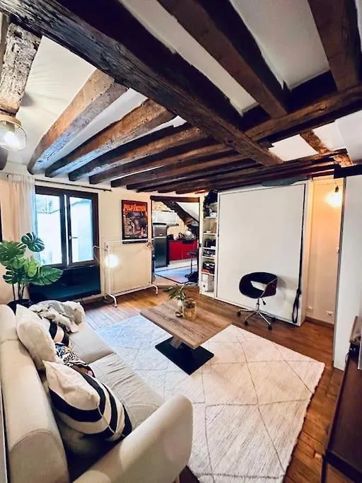 Artist'S Loft In Paris Center Apartment