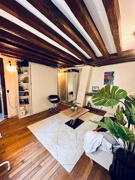 Artist'S Loft In Paris Center Apartment 0*,  France