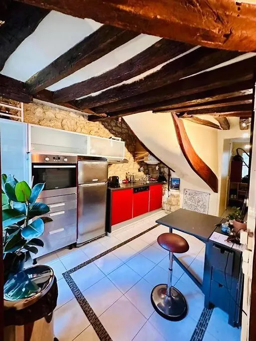 Artist'S Loft In Paris Center Apartment France